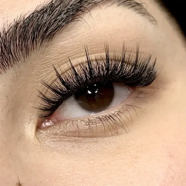 Hybrid Lash