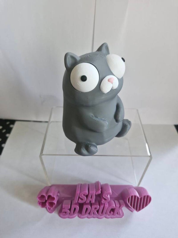 Wackelauge Katze