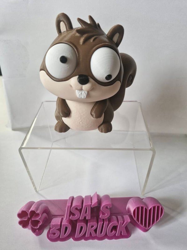Wackelauge Eichhörnchen