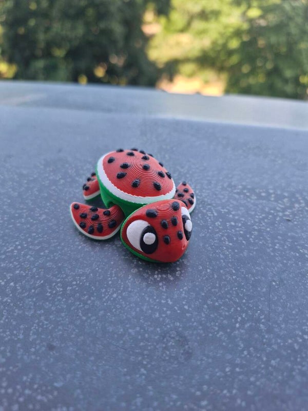 Wassermelonen Schildkröte