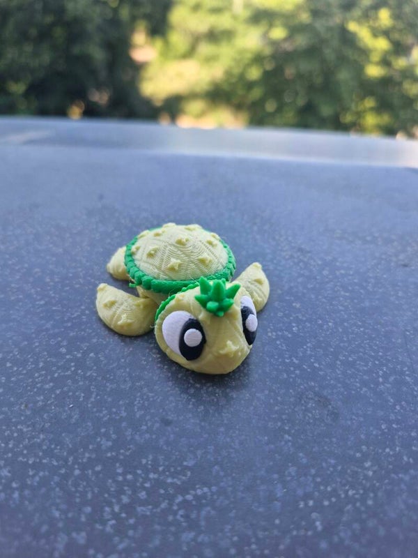 Ananas Schildkröte