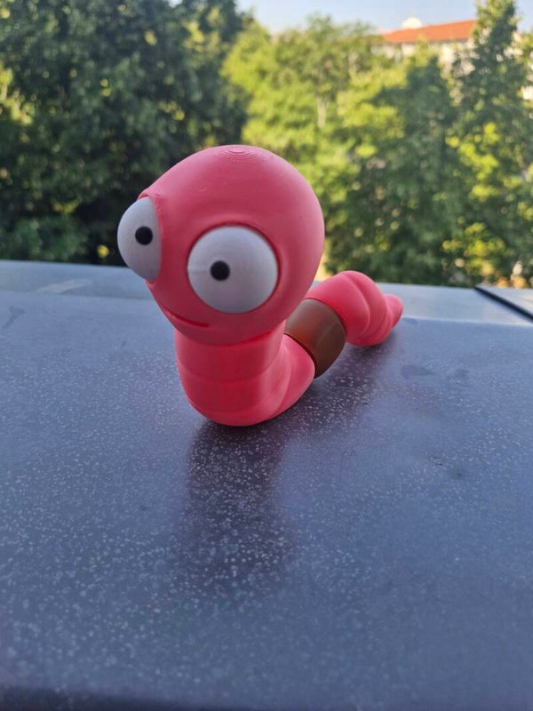 Wackelauge Regenwurm