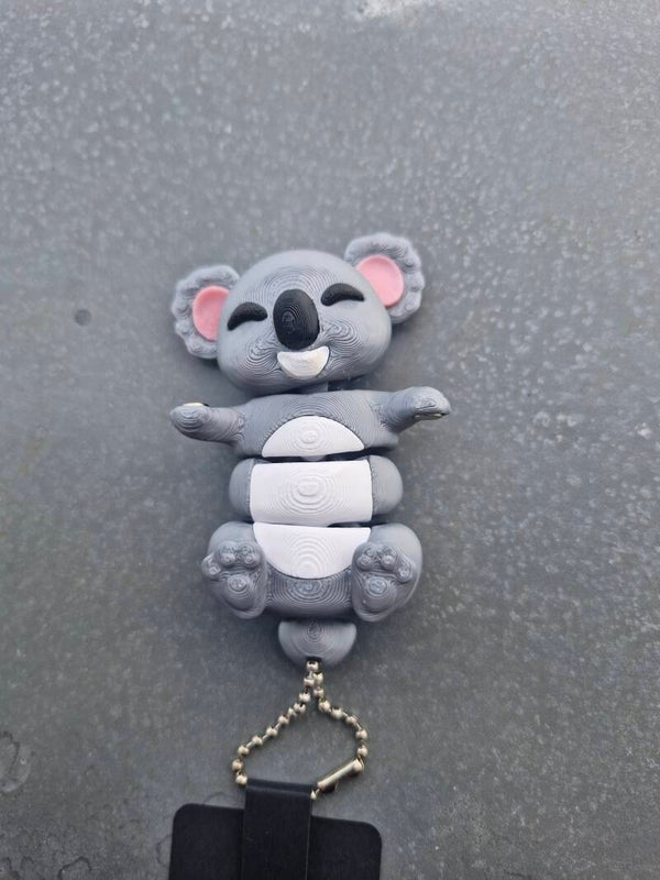 Best Buddy Koala