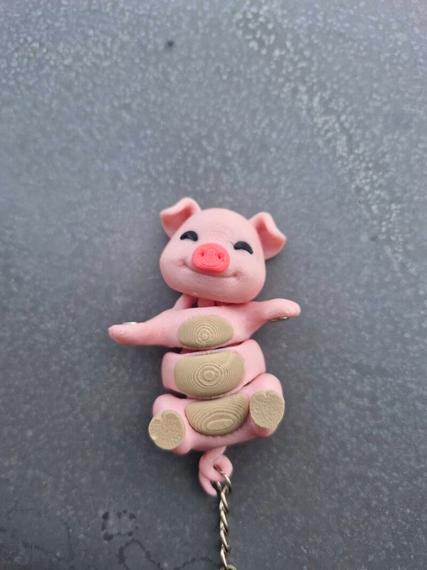 Best Buddy Schwein