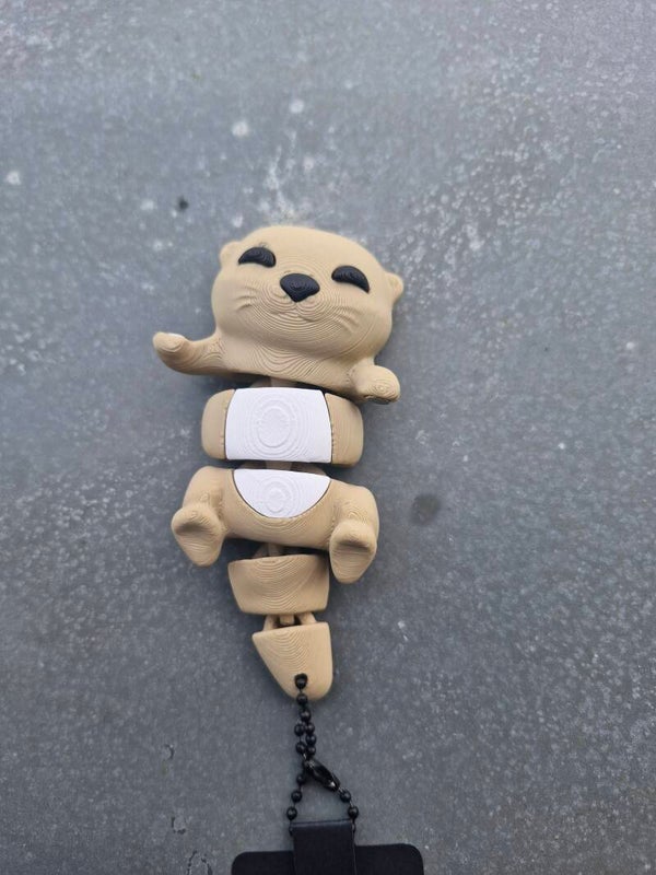 Best Buddy Otter