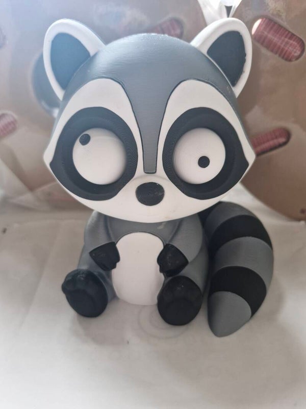 Wackelauge Waschbär
