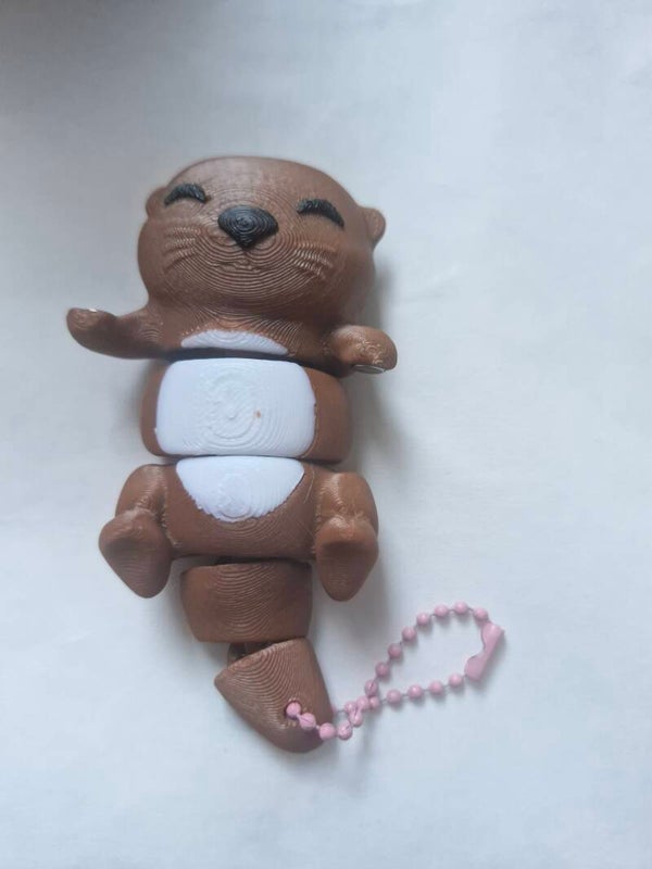 Best Buddys Otter