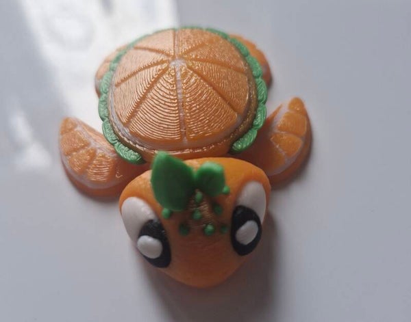 Schildkröte Orange