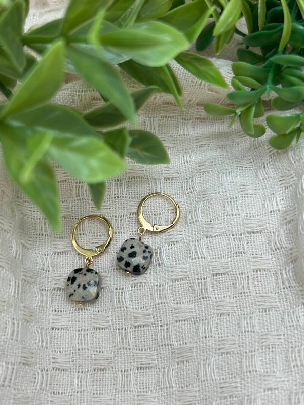 Dalmatiër & goud