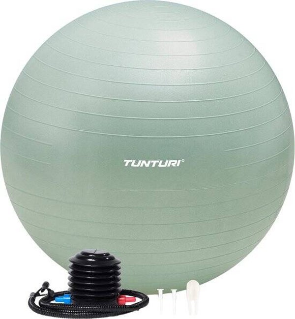 Tunturi Anti Burst Fitness bal met Pomp - Yoga bal 65 cm - Pilates bal - Zwangerschapsbal – 220 kg gebruikersgewicht - Incl Trainingsapp – Munt