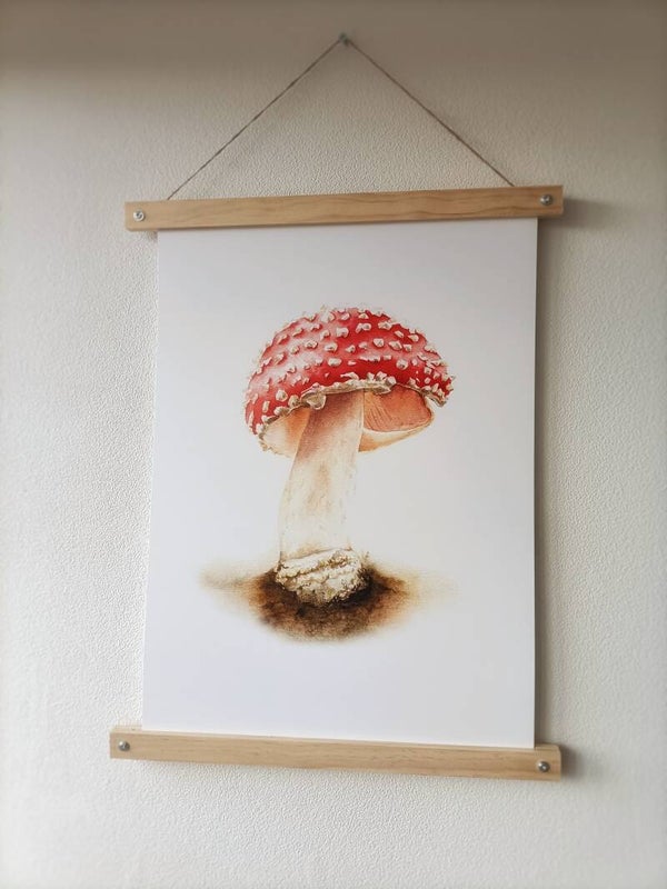 Print "Vliegenzwam" A3