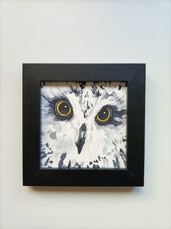 Portret van een uil - Kleinkunstserie inclusief lijstje