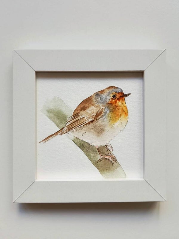 Roodborstje 1 - Kleinkunstserie inclusief lijstje