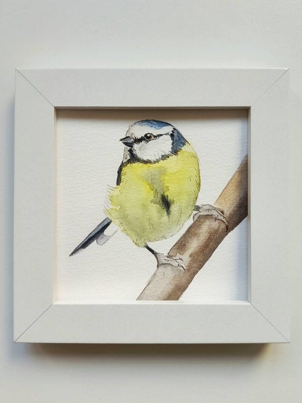 Pimpelmeesje 2 - Kleinkunstserie inclusief lijstje