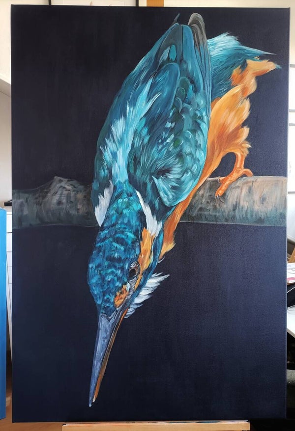 "Ready for Action" - ijsvogel op doek