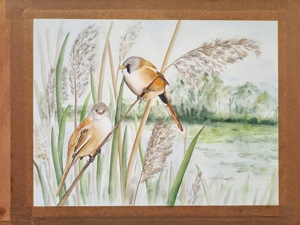 Commissie baardmannetjes