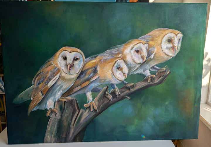 Samenkomst - kerkuilen op een tak