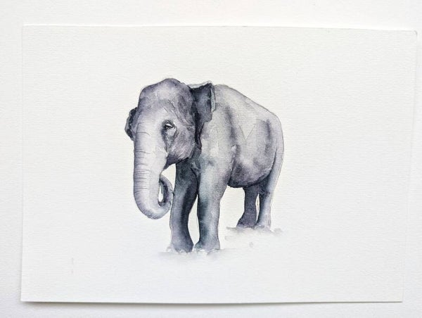 Wijze heer - Olifantenserie 2