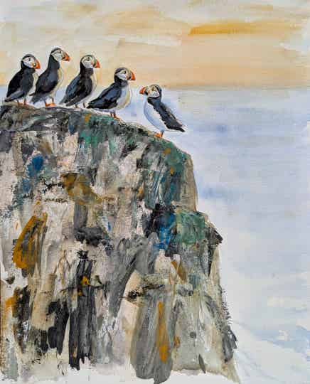 Papegaaiduikers op rots