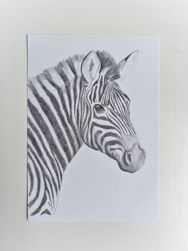 Zebra in grafiet