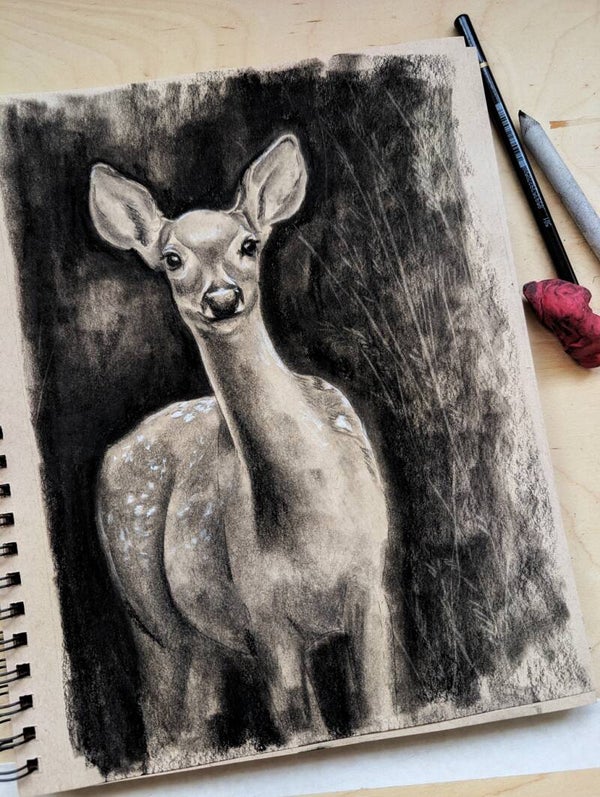 Hertje in grafiet