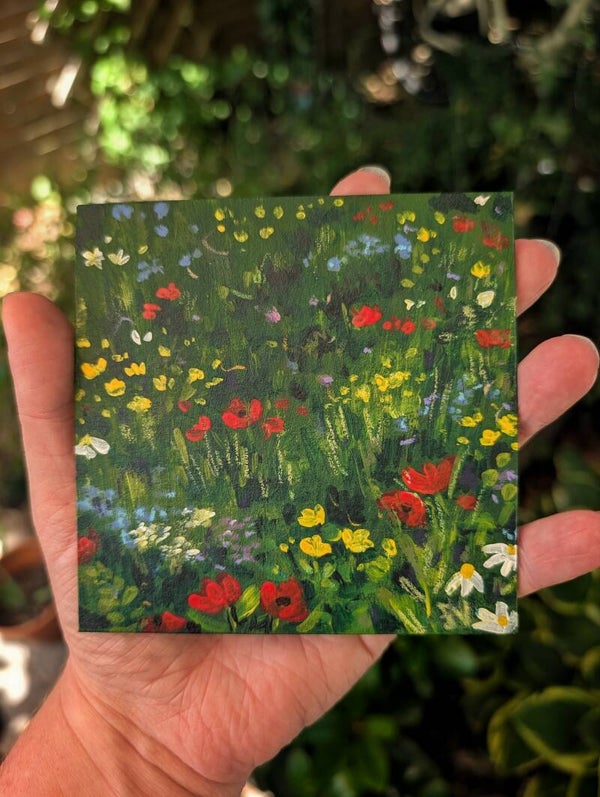 Bloemenveld 2