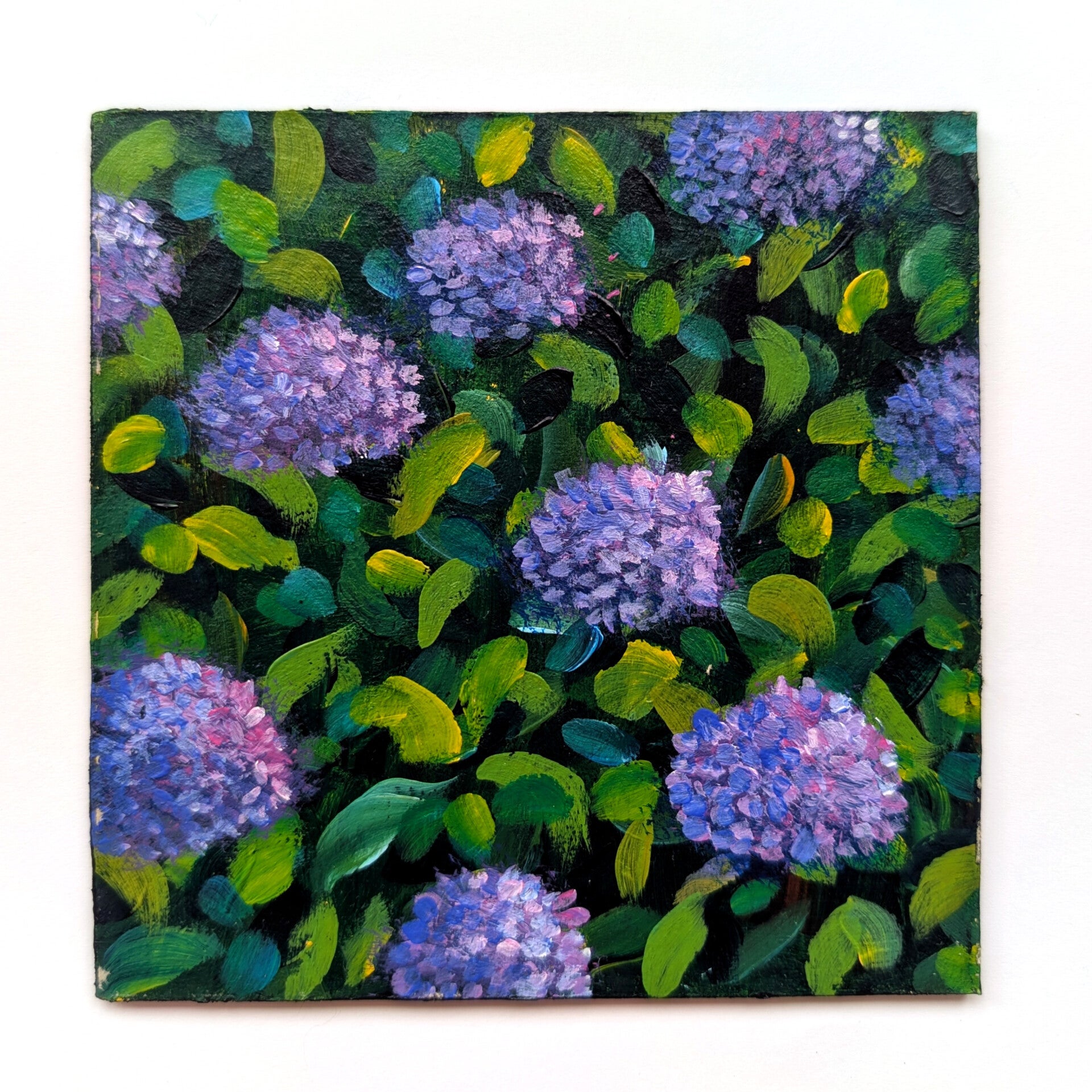 Veldportretjes serie II - hortensia