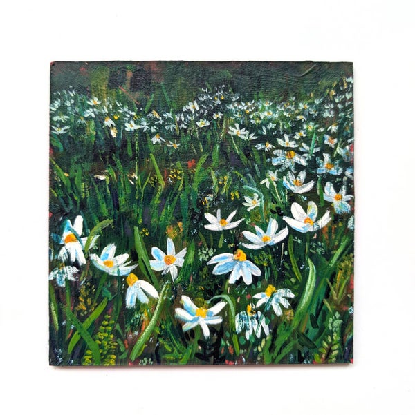 Veldportretjes serie II - margrietten