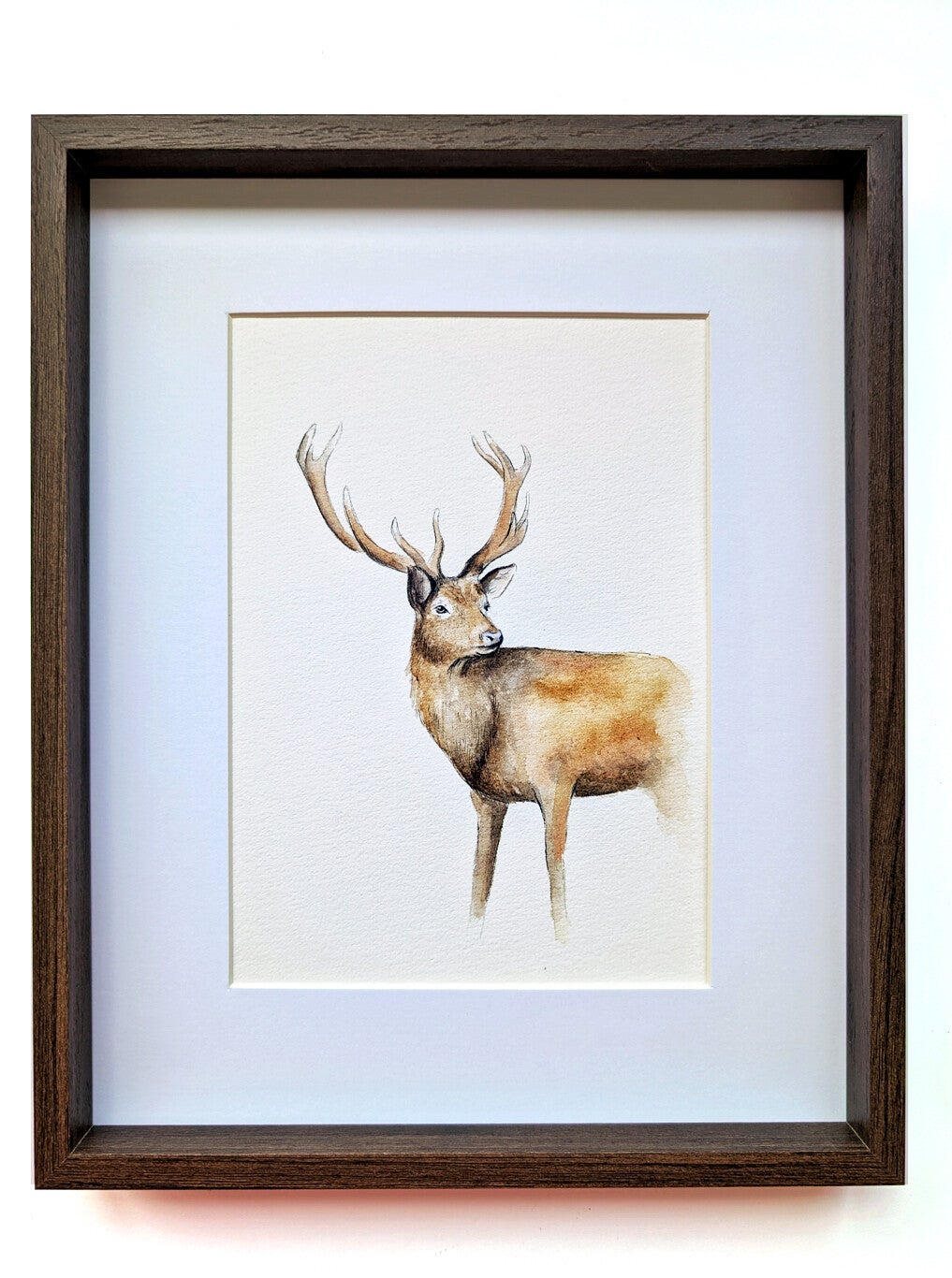 Ingelijste aquarel hert