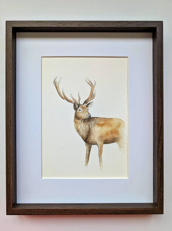 Ingelijste aquarel hert