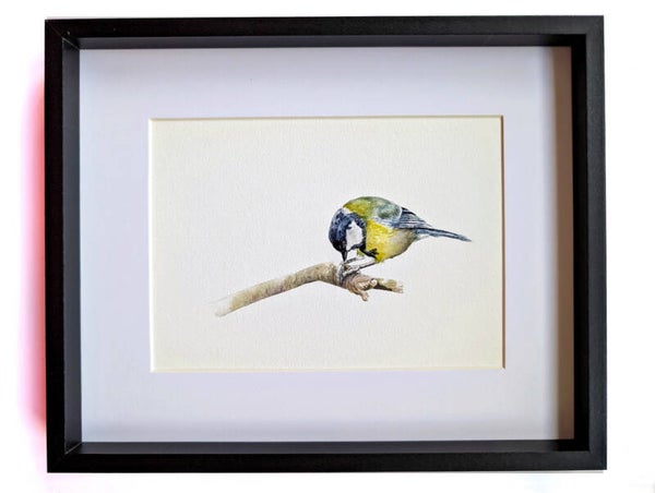 Ingelijste aquarel van een koolmeesje