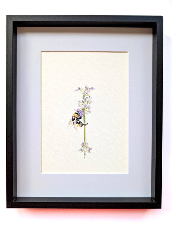 Ingelijste aquarel van een hommel