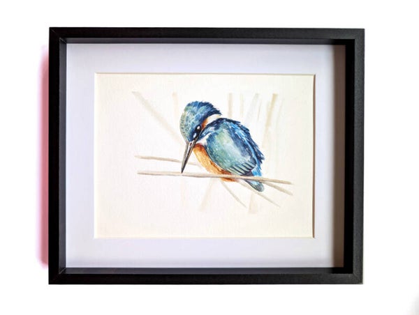Ingelijste aquarel van een ijsvogel