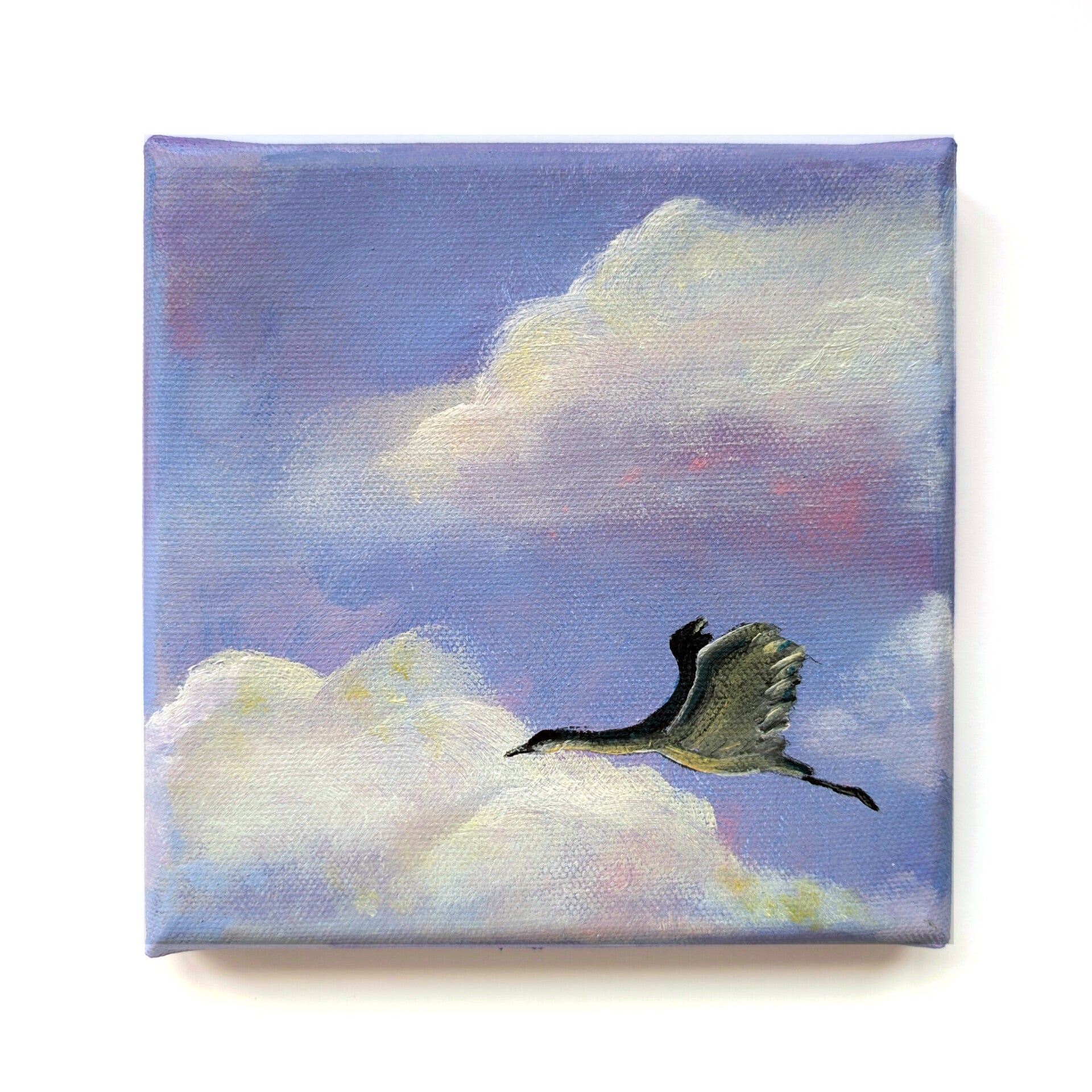 Serie 'In het spoor van de zon' - kraanvogel VII