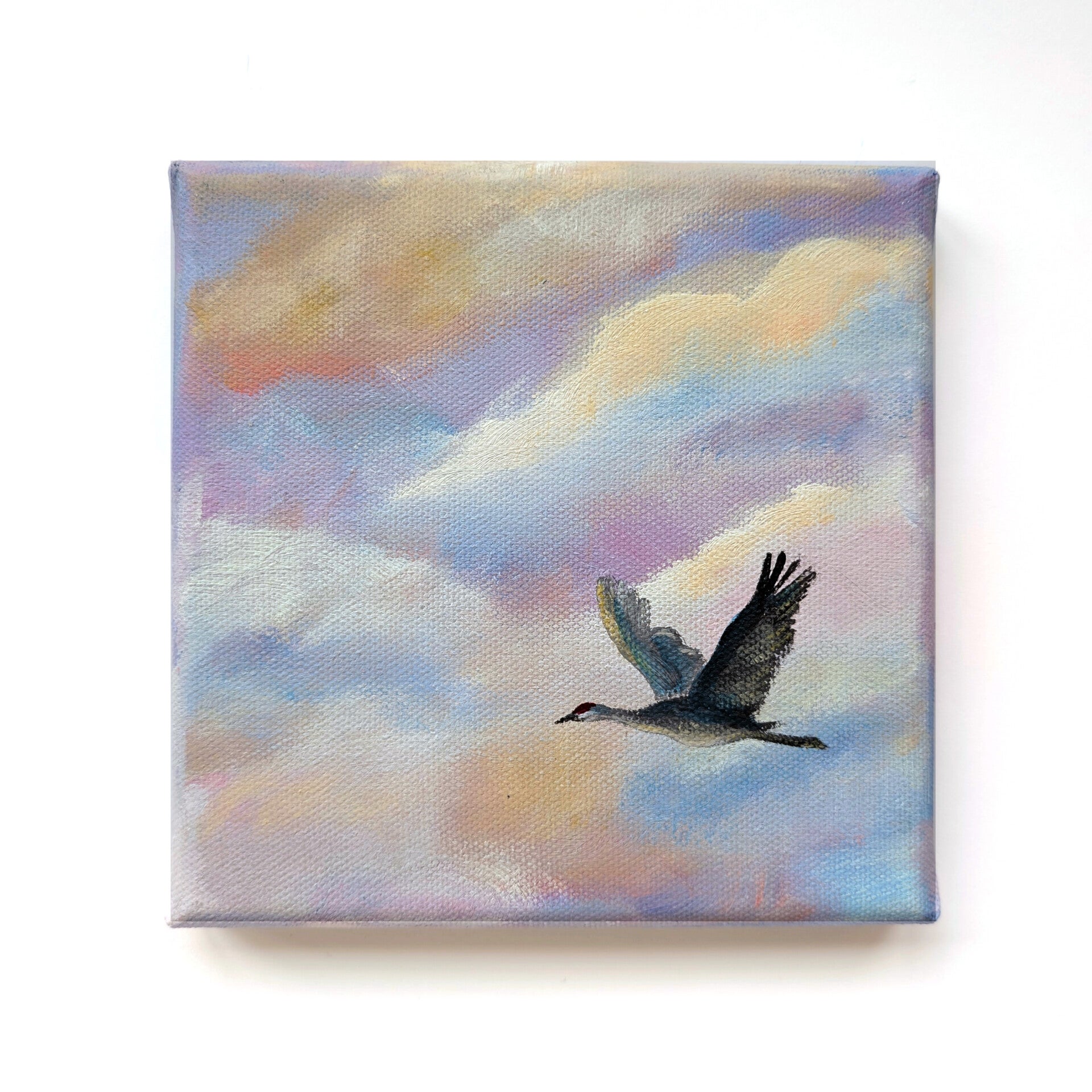 Serie 'In het spoor van de zon' - kraanvogel VIII
