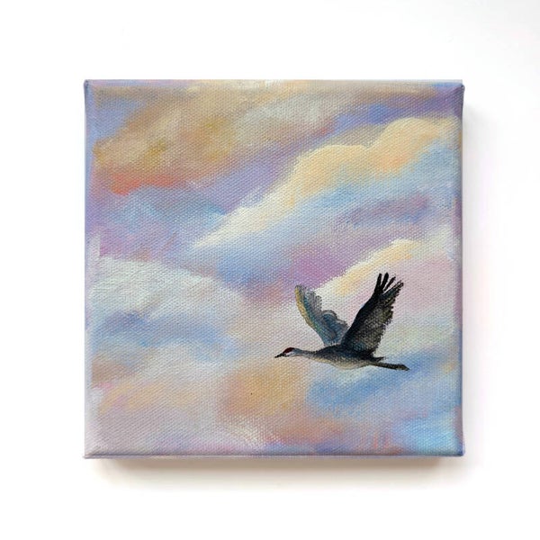 Serie 'In het spoor van de zon' - kraanvogel VIII