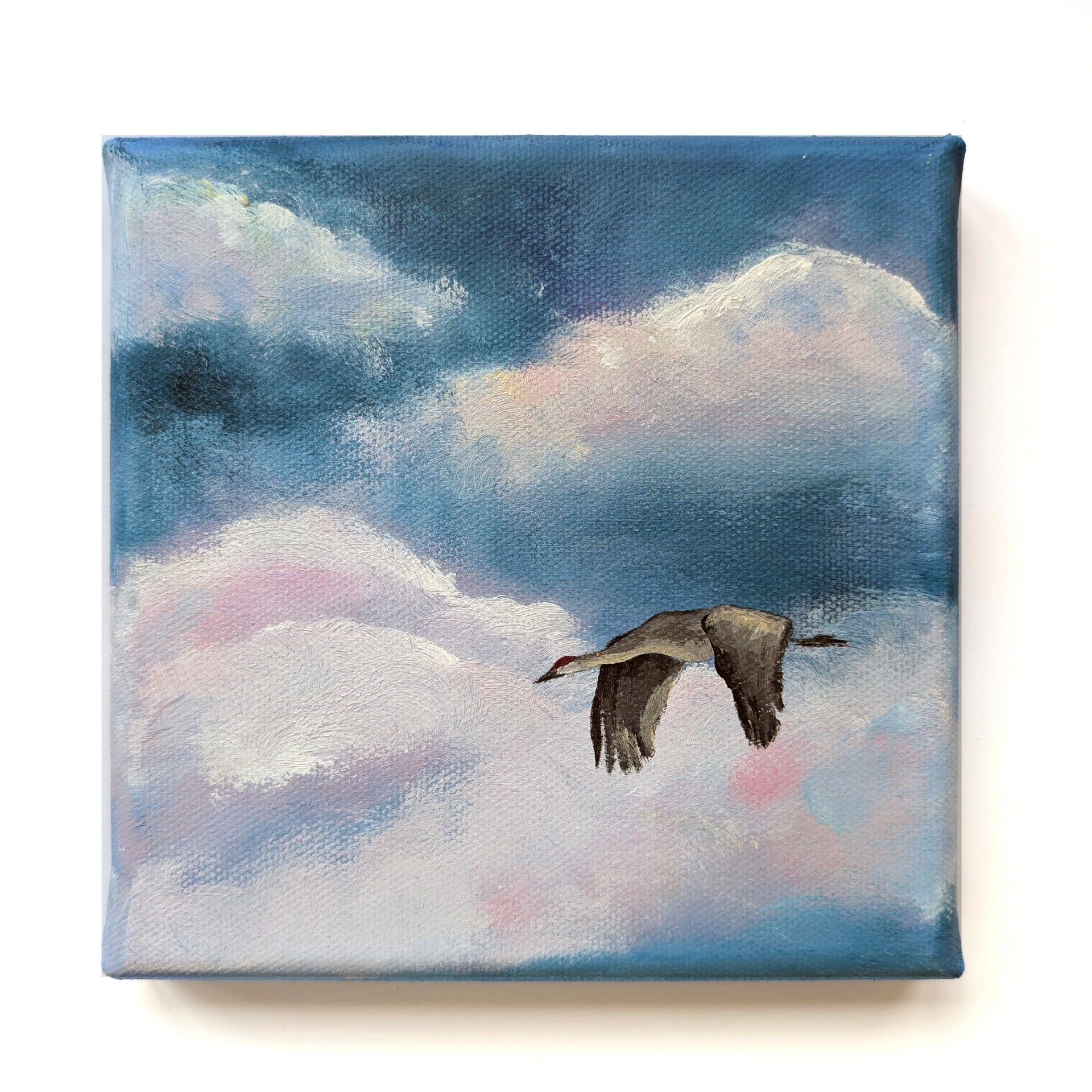 Serie 'In het spoor van de zon' - kraanvogel IX