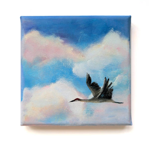 Serie 'In het spoor van de zon' - kraanvogel VI