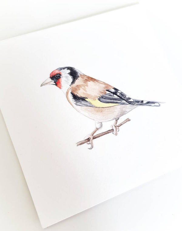 Puttertje - vogeltjesserie