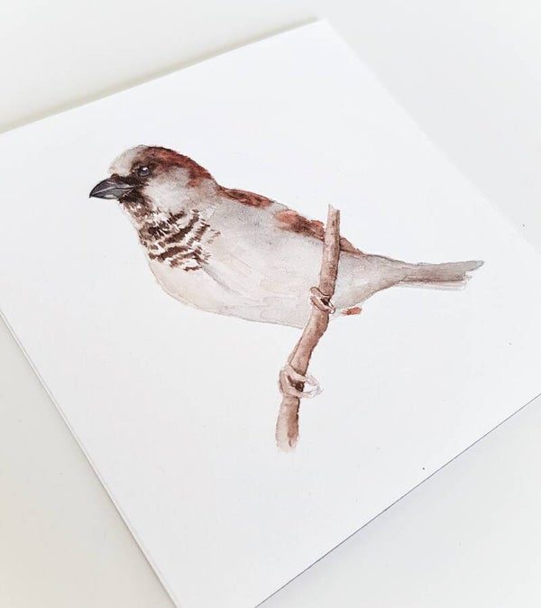 Musje - vogeltjesserie