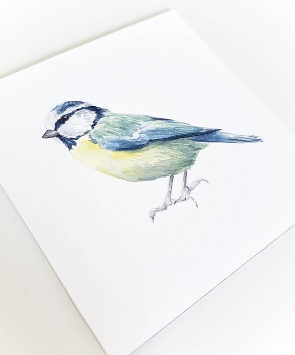 Meesje - vogeltjesserie