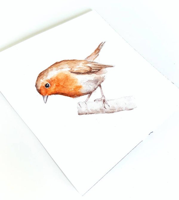 Roodborstje 1 - vogeltjesserie