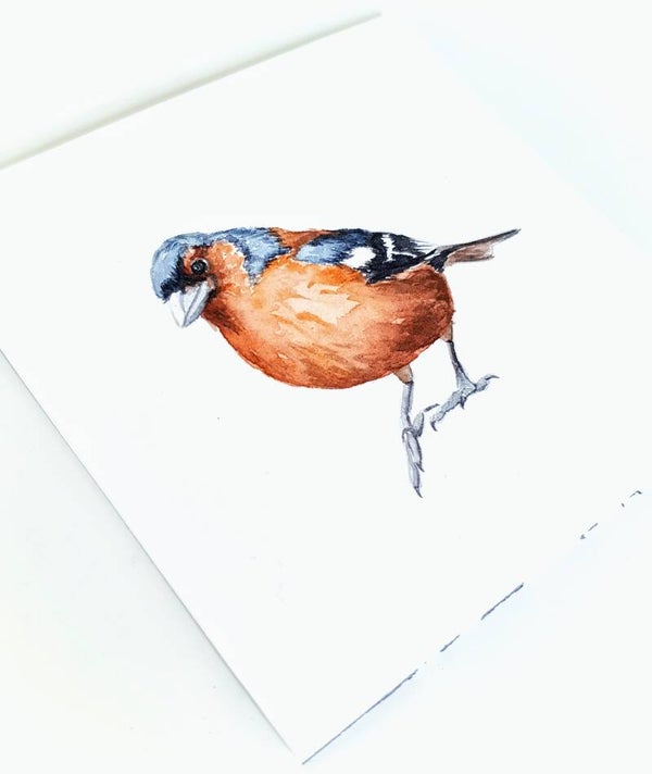 Vinkje - vogeltjesserie