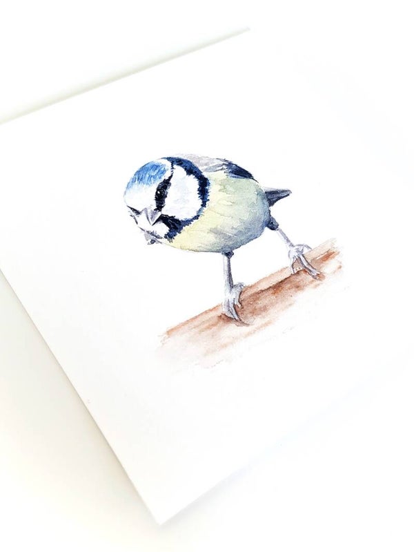 Meesje 2 - vogeltjesserie