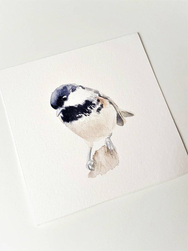 Zwarte mees - vogeltjesserie