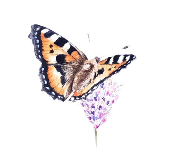 Vlindertje (inclusief lijst!)