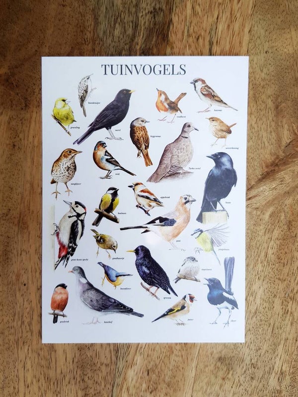 Kaart Tuinvogeloverzicht