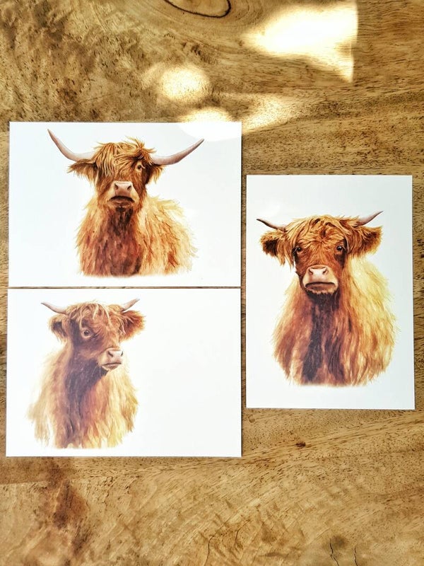 Set van 3 Schotse Hooglanders-kaarten