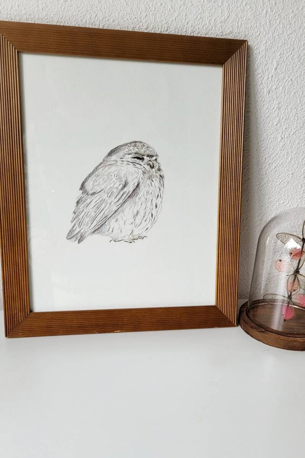 Knorrig uiltje (inclusief lijst)