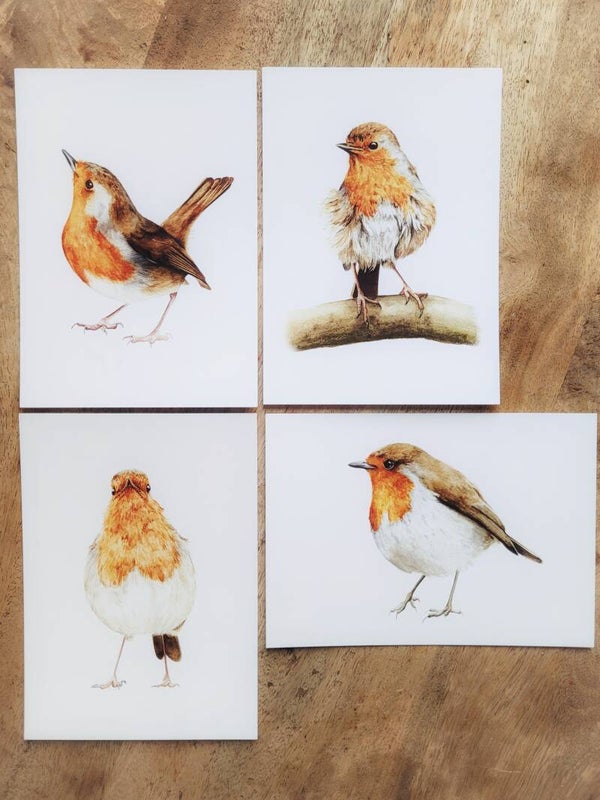 Set van 4 roodborstjes-kaarten